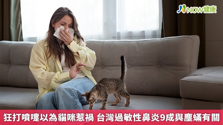 狂打噴嚏以為貓咪惹禍 台灣過敏性鼻炎9成與塵蟎有關